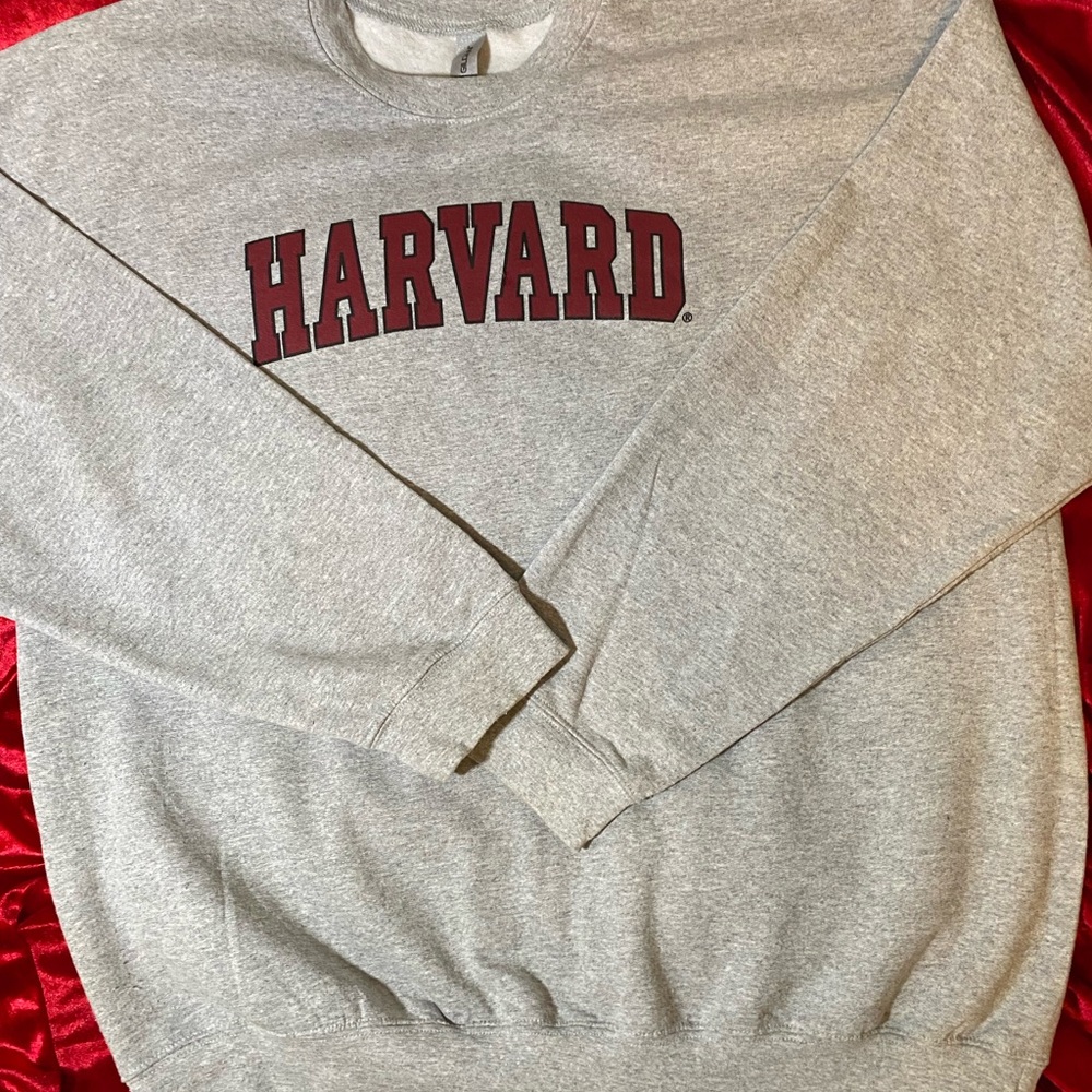 Gildan Gray Harvard Crewneck Sweater